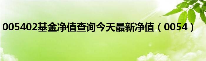 005402基金净值查询今天最新净值（0054）