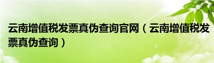 云南增值税发票真伪查询官网（云南增值税发票真伪查询）