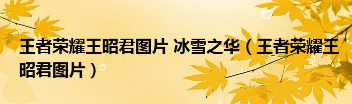 王者荣耀王昭君图片 冰雪之华（王者荣耀王昭君图片）