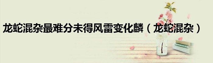 龙蛇混杂最难分未得风雷变化麟（龙蛇混杂）