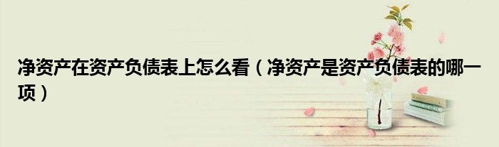 净资产在资产负债表上怎么看（净资产是资产负债表的哪一项）