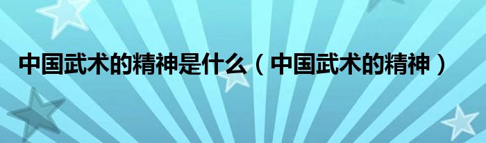 中国武术的精神是什么（中国武术的精神）