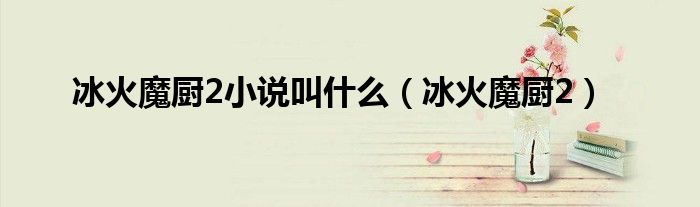 冰火魔厨2小说叫什么（冰火魔厨2）