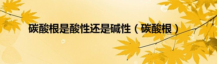 碳酸根是酸性还是碱性（碳酸根）