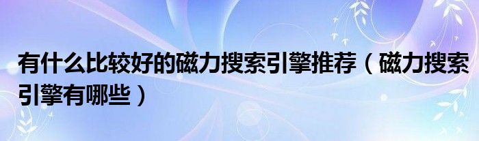 有什么比较好的磁力搜索引擎推荐（磁力搜索引擎有哪些）