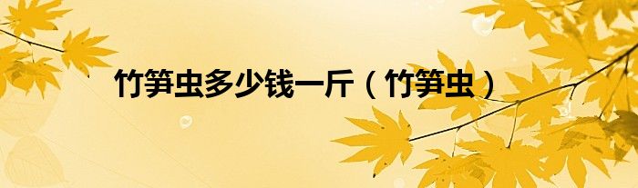 竹笋虫多少钱一斤（竹笋虫）