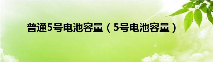 普通5号电池容量（5号电池容量）