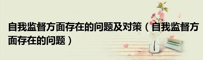 自我监督方面存在的问题及对策（自我监督方面存在的问题）