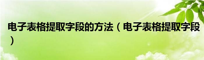 电子表格提取字段的方法（电子表格提取字段）
