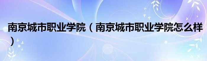 南京城市职业学院（南京城市职业学院怎么样）