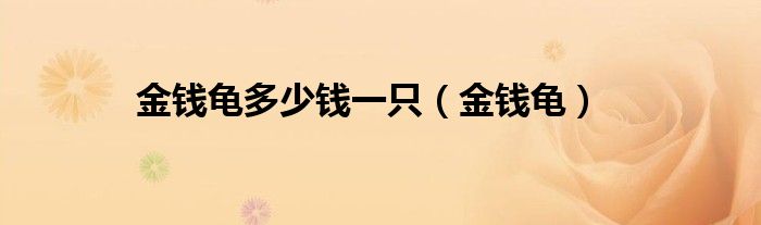金钱龟多少钱一只（金钱龟）