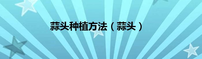 蒜头种植方法（蒜头）