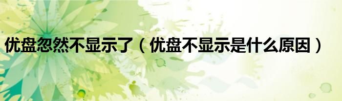 优盘忽然不显示了（优盘不显示是什么原因）