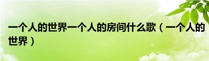 一个人的世界一个人的房间什么歌（一个人的世界）