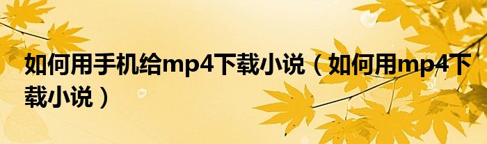 如何用手机给mp4下载小说（如何用mp4下载小说）
