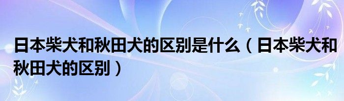 日本柴犬和秋田犬的区别是什么（日本柴犬和秋田犬的区别）