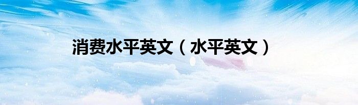 消费水平英文（水平英文）