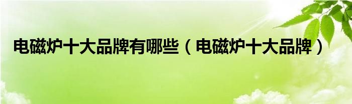 电磁炉十大品牌有哪些（电磁炉十大品牌）
