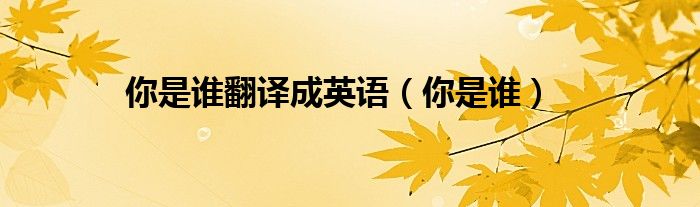 你是谁翻译成英语（你是谁）