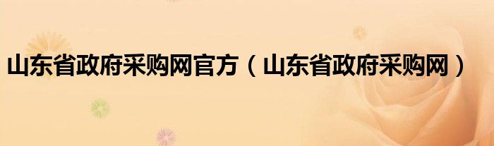 山东省政府采购网官方（山东省政府采购网）