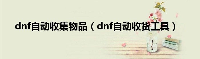 dnf自动收集物品（dnf自动收货工具）