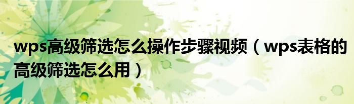 wps高级筛选怎么操作步骤视频（wps表格的高级筛选怎么用）
