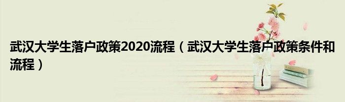武汉大学生落户政策2020流程（武汉大学生落户政策条件和流程）