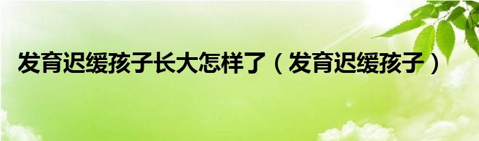 发育迟缓孩子长大怎样了（发育迟缓孩子）