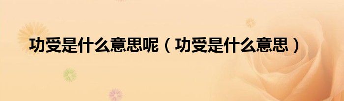 功受是什么意思呢（功受是什么意思）