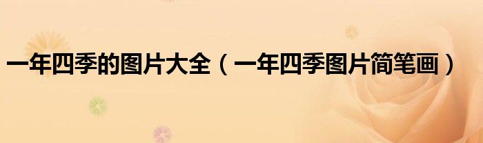 一年四季的图片大全（一年四季图片简笔画）