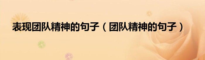 表现团队精神的句子（团队精神的句子）