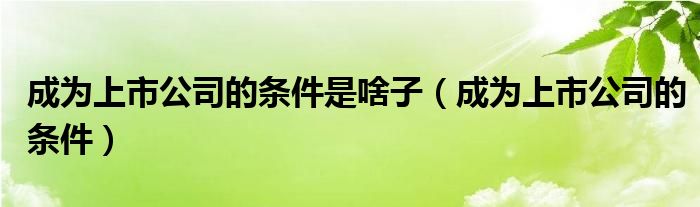 成为上市公司的条件是啥子（成为上市公司的条件）