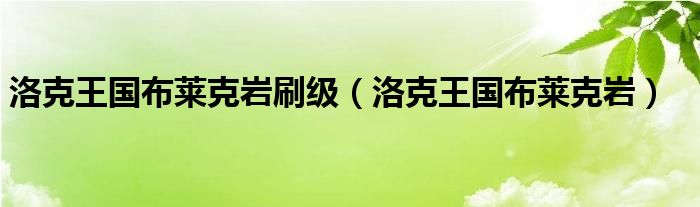 洛克王国布莱克岩刷级（洛克王国布莱克岩）