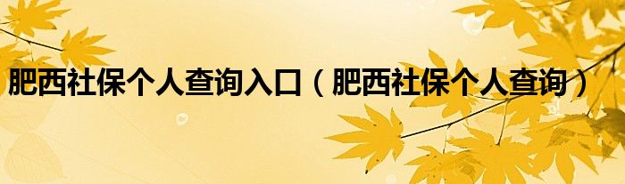 肥西社保个人查询入口（肥西社保个人查询）