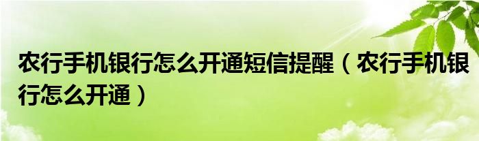 农行手机银行怎么开通短信提醒（农行手机银行怎么开通）