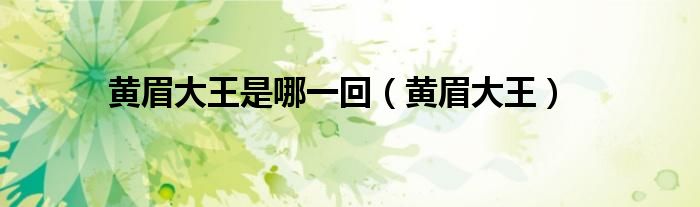 黄眉大王是哪一回（黄眉大王）