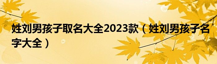 姓刘男孩子取名大全2023款（姓刘男孩子名字大全）