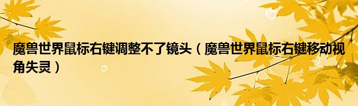 魔兽世界鼠标右键调整不了镜头（魔兽世界鼠标右键移动视角失灵）