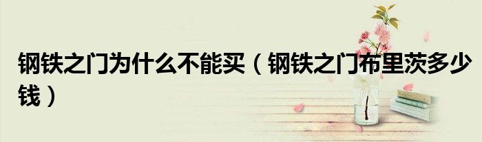 钢铁之门为什么不能买（钢铁之门布里茨多少钱）