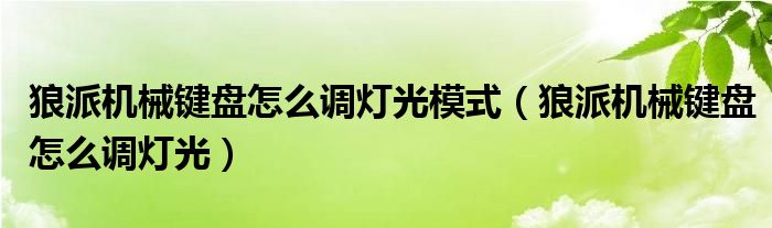 狼派机械键盘怎么调灯光模式（狼派机械键盘怎么调灯光）