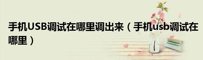 手机USB调试在哪里调出来（手机usb调试在哪里）