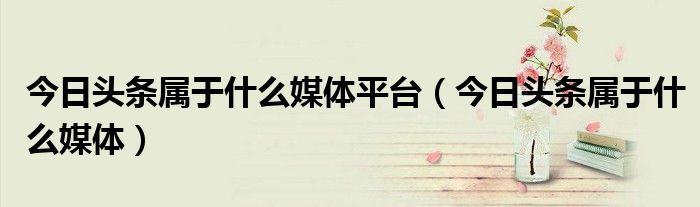 今日头条属于什么媒体平台（今日头条属于什么媒体）