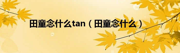 田童念什么tan（田童念什么）