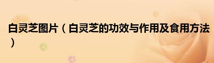 白灵芝图片（白灵芝的功效与作用及食用方法）