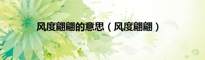 风度翩翩的意思（风度翩翩）