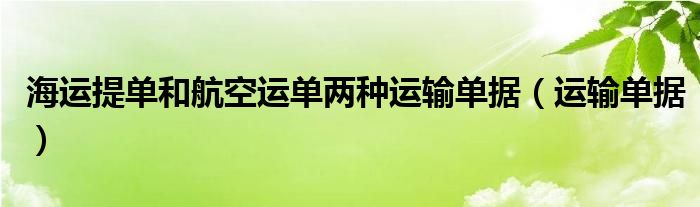 海运提单和航空运单两种运输单据（运输单据）