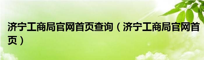 济宁工商局官网首页查询（济宁工商局官网首页）