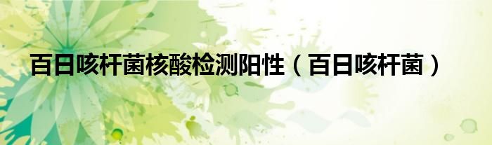 百日咳杆菌核酸检测阳性（百日咳杆菌）