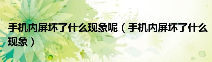 手机内屏坏了什么现象呢（手机内屏坏了什么现象）