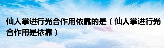 仙人掌进行光合作用依靠的是（仙人掌进行光合作用是依靠）